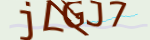 Enter the character string shown in the picture